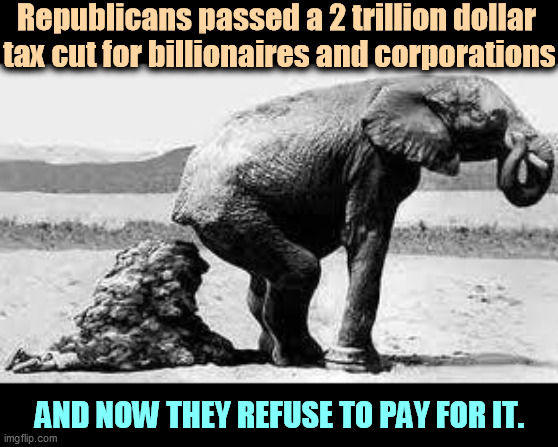 They want you to think it's about Biden. It's not. It's about Trump. | Republicans passed a 2 trillion dollar 
tax cut for billionaires and corporations; AND NOW THEY REFUSE TO PAY FOR IT. | image tagged in elephant poopy,republican,tax cuts for the rich,pay,bills | made w/ Imgflip meme maker