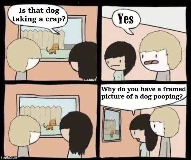 Is that dog taking a crap? Yes; Why do you have a framed 
picture of a dog pooping? | image tagged in comics/cartoons | made w/ Imgflip meme maker