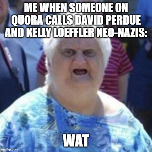 They aren't great, but they certainly aren't neo-nazis | ME WHEN SOMEONE ON QUORA CALLS DAVID PERDUE AND KELLY LOEFFLER NEO-NAZIS:; WAT | image tagged in wat lady | made w/ Imgflip meme maker