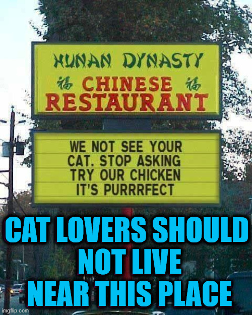 CAT LOVERS SHOULD
 NOT LIVE
 NEAR THIS PLACE | image tagged in dark humor | made w/ Imgflip meme maker