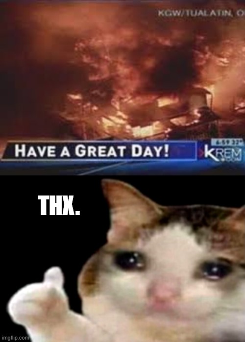 THX. | image tagged in sad cat thumbs up | made w/ Imgflip meme maker