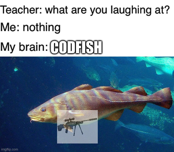 Get it? COD-fish |  CODFISH | image tagged in teacher what are you laughing at | made w/ Imgflip meme maker