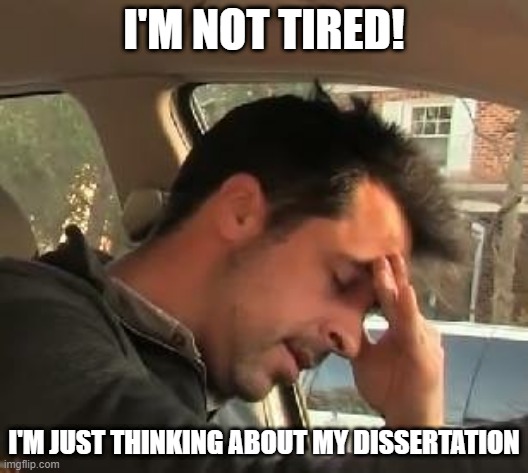 I'm not tired | I'M NOT TIRED! I'M JUST THINKING ABOUT MY DISSERTATION | image tagged in face palm | made w/ Imgflip meme maker