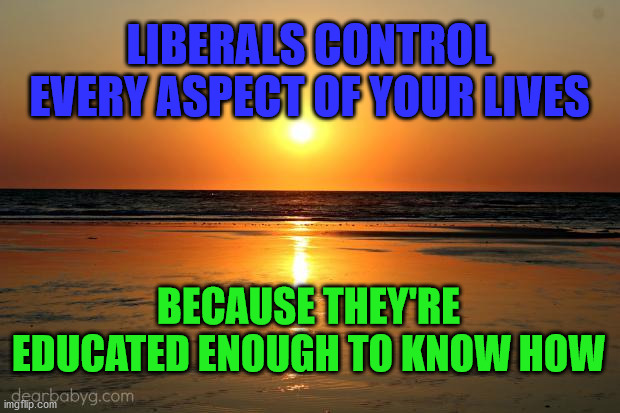 beach sunset | LIBERALS CONTROL EVERY ASPECT OF YOUR LIVES; BECAUSE THEY'RE EDUCATED ENOUGH TO KNOW HOW | image tagged in beach sunset | made w/ Imgflip meme maker