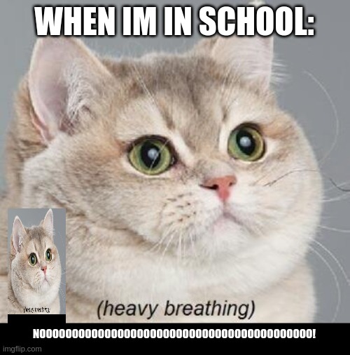 Heavy Breathing Cat | WHEN IM IN SCHOOL:; NOOOOOOOOOOOOOOOOOOOOOOOOOOOOOOOOOOOOOOOOOO! | image tagged in memes,heavy breathing cat | made w/ Imgflip meme maker