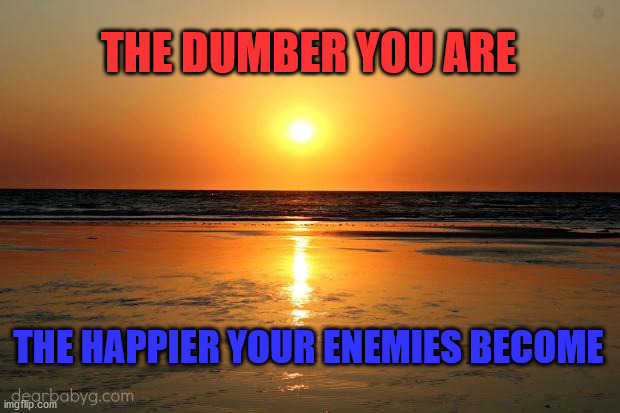 beach sunset | THE DUMBER YOU ARE; THE HAPPIER YOUR ENEMIES BECOME | image tagged in beach sunset | made w/ Imgflip meme maker