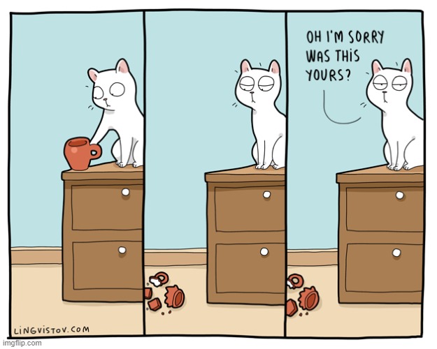 A Cat's Way Of Thinking | image tagged in memes,comics,cats,break,cup,sorry not sorry | made w/ Imgflip meme maker