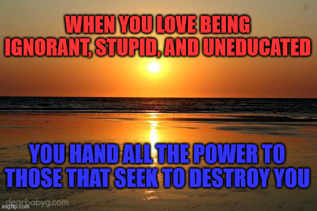 beach sunset | WHEN YOU LOVE BEING IGNORANT, STUPID, AND UNEDUCATED; YOU HAND ALL THE POWER TO THOSE THAT SEEK TO DESTROY YOU | image tagged in beach sunset | made w/ Imgflip meme maker