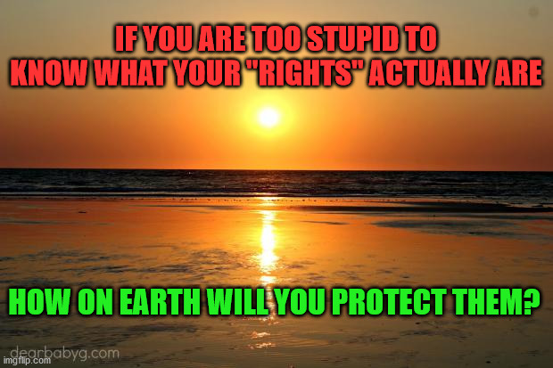 beach sunset | IF YOU ARE TOO STUPID TO KNOW WHAT YOUR "RIGHTS" ACTUALLY ARE; HOW ON EARTH WILL YOU PROTECT THEM? | image tagged in beach sunset | made w/ Imgflip meme maker