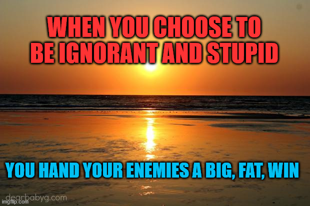 beach sunset | WHEN YOU CHOOSE TO BE IGNORANT AND STUPID; YOU HAND YOUR ENEMIES A BIG, FAT, WIN | image tagged in beach sunset | made w/ Imgflip meme maker