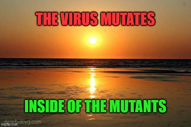 beach sunset | THE VIRUS MUTATES; INSIDE OF THE MUTANTS | image tagged in beach sunset | made w/ Imgflip meme maker