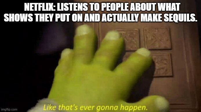 netflix LISTEN UP!!! | NETFLIX: LISTENS TO PEOPLE ABOUT WHAT SHOWS THEY PUT ON AND ACTUALLY MAKE SEQUILS. | image tagged in like that's ever gonna happen,shrek,netflix | made w/ Imgflip meme maker