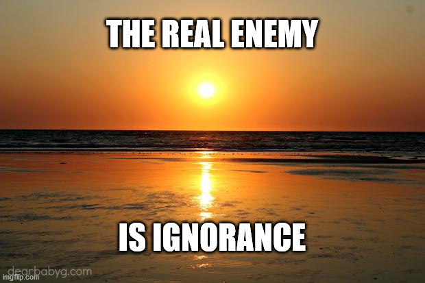 beach sunset | THE REAL ENEMY; IS IGNORANCE | image tagged in beach sunset | made w/ Imgflip meme maker