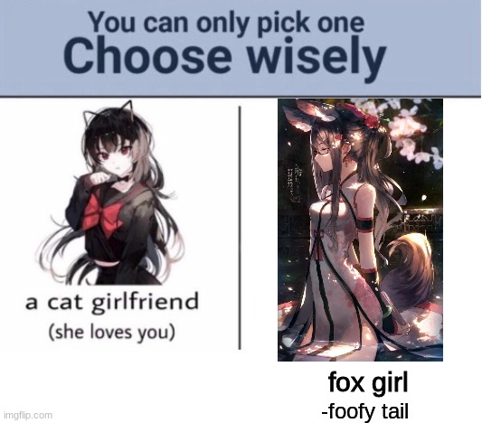 Choose wisely | fox girl; -foofy tail | image tagged in choose wisely | made w/ Imgflip meme maker