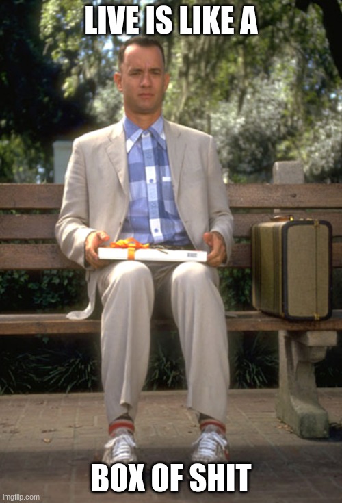 Forest gump | LIVE IS LIKE A; BOX OF SHIT | image tagged in forest gump | made w/ Imgflip meme maker