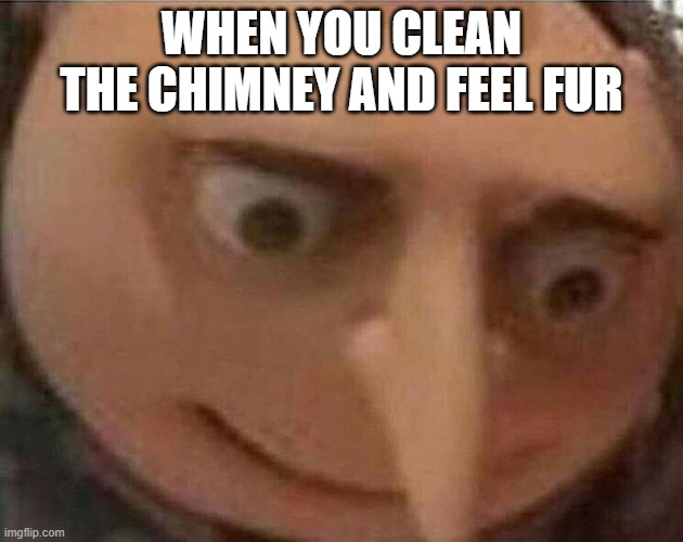 Fur | WHEN YOU CLEAN THE CHIMNEY AND FEEL FUR | image tagged in gru meme,oh no | made w/ Imgflip meme maker