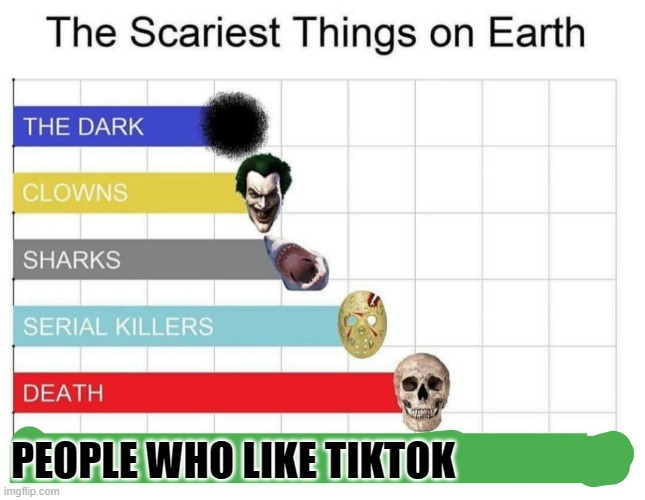 scariest things on earth | PEOPLE WHO LIKE TIKTOK | image tagged in scariest things on earth | made w/ Imgflip meme maker