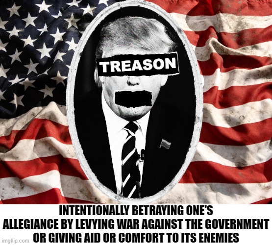 TREASON | INTENTIONALLY BETRAYING ONE'S ALLEGIANCE BY LEVYING WAR AGAINST THE GOVERNMENT OR GIVING AID OR COMFORT TO ITS ENEMIES | image tagged in treason,allegiance,enemies,government,war,aid | made w/ Imgflip meme maker