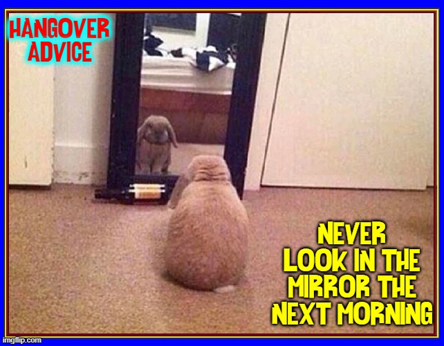 At least, from this angle, I look skinnier |  HANGOVER ADVICE; NEVER LOOK IN THE MIRROR THE NEXT MORNING | image tagged in vince vance,rabbits,memes,hangover,advice,look in the mirror | made w/ Imgflip meme maker