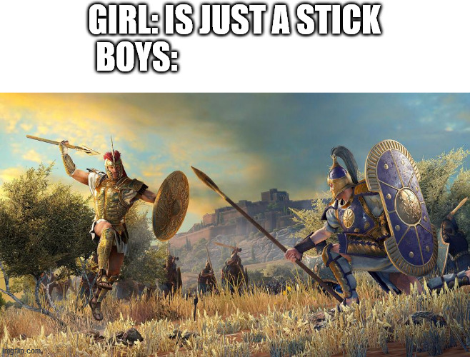 GIRL: IS JUST A STICK
BOYS: | image tagged in me and the boys | made w/ Imgflip meme maker