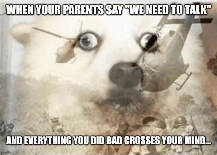 Childhood | WHEN YOUR PARENTS SAY "WE NEED TO TALK"; AND EVERYTHING YOU DID BAD CROSSES YOUR MIND... | image tagged in ptsd dog,childhood | made w/ Imgflip meme maker