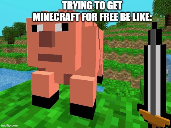 Hate this knockoff. | TRYING TO GET MINECRAFT FOR FREE BE LIKE: | image tagged in minecraft knockoff,gaming | made w/ Imgflip meme maker