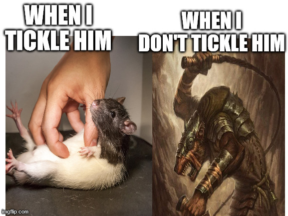 WHEN I DON'T TICKLE HIM; WHEN I TICKLE HIM | image tagged in warhammer,rat pack,funny memes,memes,gaming | made w/ Imgflip meme maker