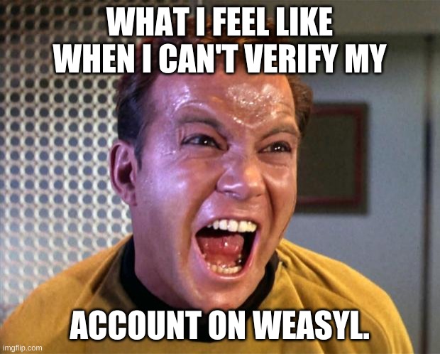 when you can't verify your weasyl account | WHAT I FEEL LIKE WHEN I CAN'T VERIFY MY; ACCOUNT ON WEASYL. | image tagged in account,deviantart | made w/ Imgflip meme maker
