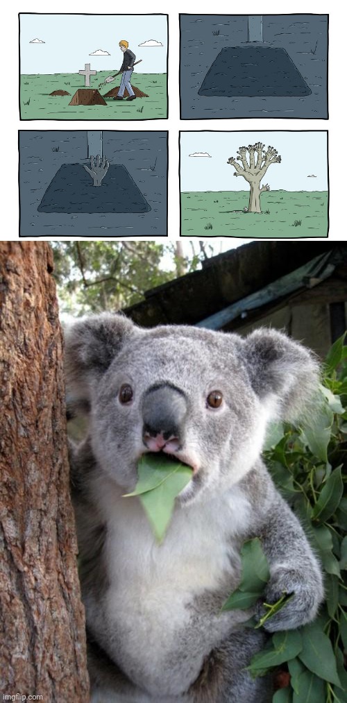 Growth of being buried | image tagged in memes,surprised koala,dark humor,buried,comic,hands | made w/ Imgflip meme maker