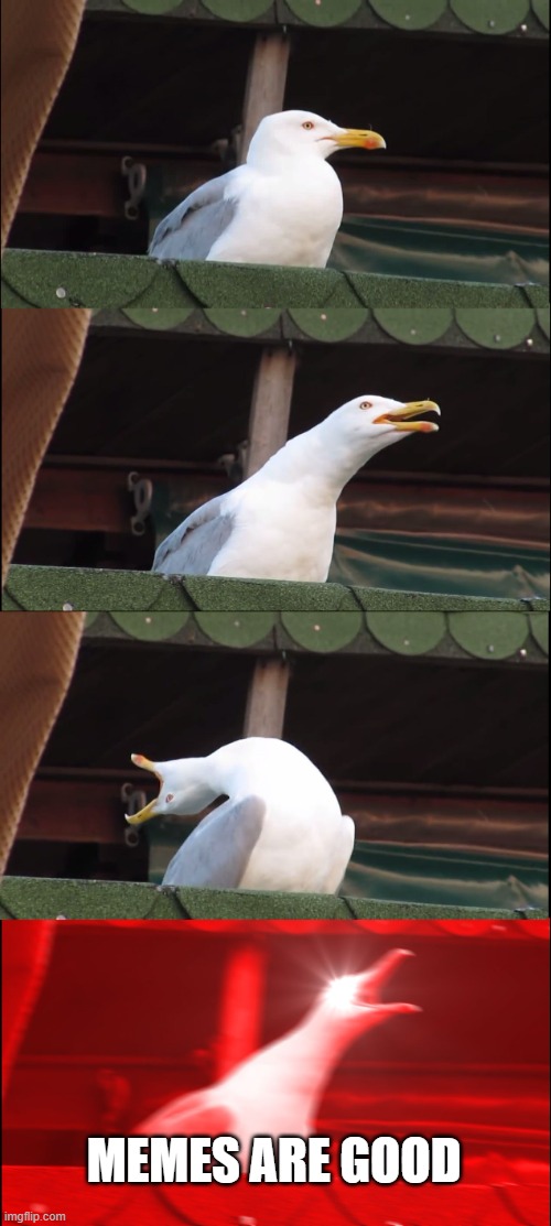 Inhaling Seagull Meme | MEMES ARE GOOD | image tagged in memes,inhaling seagull | made w/ Imgflip meme maker
