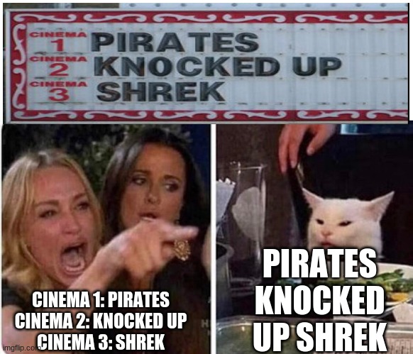 Made myself. | PIRATES KNOCKED UP SHREK; CINEMA 1: PIRATES
CINEMA 2: KNOCKED UP
CINEMA 3: SHREK | image tagged in lady screams at cat | made w/ Imgflip meme maker