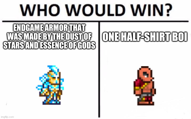 terraria logic #3 | ENDGAME ARMOR THAT WAS MADE BY THE DUST OF STARS AND ESSENCE OF GODS; ONE HALF-SHIRT BOI | image tagged in memes,who would win | made w/ Imgflip meme maker