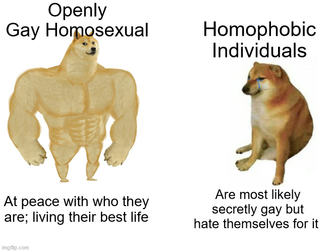 Buff Doge vs. Cheems | Openly Gay Homosexual; Homophobic Individuals; At peace with who they are; living their best life; Are most likely secretly gay but hate themselves for it | image tagged in memes,buff doge vs cheems | made w/ Imgflip meme maker