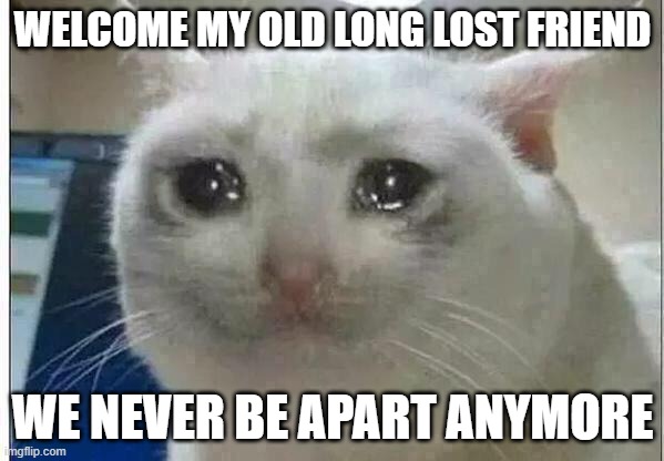 crying cat | WELCOME MY OLD LONG LOST FRIEND; WE NEVER BE APART ANYMORE | image tagged in crying cat | made w/ Imgflip meme maker