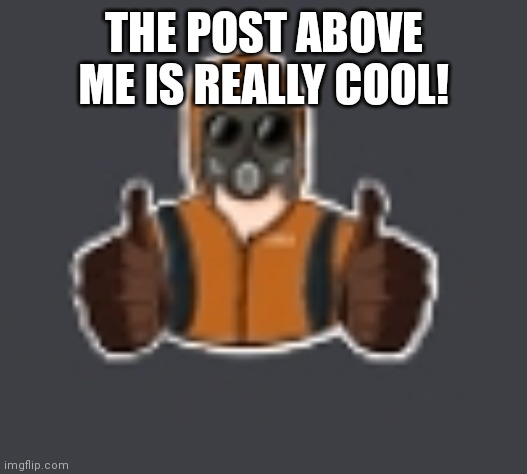 Terrorist thumbs up | THE POST ABOVE ME IS REALLY COOL! | image tagged in terrorist thumbs up | made w/ Imgflip meme maker