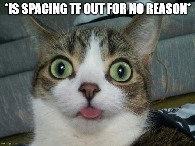 *YouTube premiere munsic intensifies* | *IS SPACING TF OUT FOR NO REASON* | image tagged in spaced out cat | made w/ Imgflip meme maker