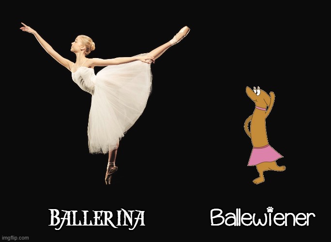 Learning the Fine Points of Ballet: Ballerina Vs Ballewiener | Ballewiener; Ballerina | image tagged in vince vance,ballet,ballerina,wiener,dogs,memes | made w/ Imgflip meme maker