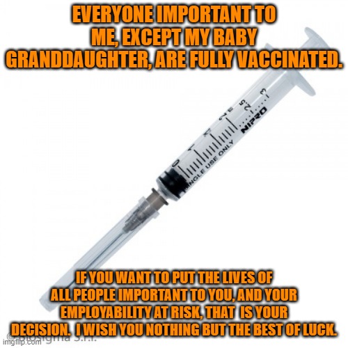 The Rights, and Responsibilities, are all yours. | EVERYONE IMPORTANT TO ME, EXCEPT MY BABY GRANDDAUGHTER, ARE FULLY VACCINATED. IF YOU WANT TO PUT THE LIVES OF ALL PEOPLE IMPORTANT TO YOU, AND YOUR EMPLOYABILITY AT RISK, THAT  IS YOUR DECISION.  I WISH YOU NOTHING BUT THE BEST OF LUCK. | image tagged in politics | made w/ Imgflip meme maker