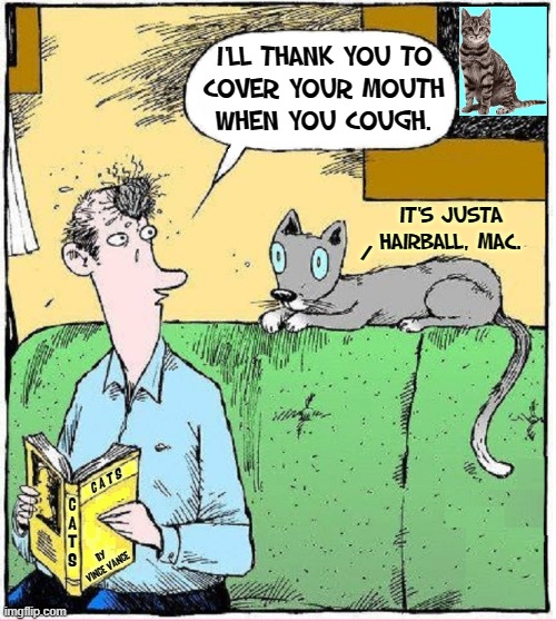 ...and during a pandemic, at that! | I'LL THANK YOU TO
COVER YOUR MOUTH
WHEN YOU COUGH. IT'S JUSTA
HAIRBALL, MAC. /; C A T S; C
A
T
S; BY
VINCE VANCE | image tagged in vince vance,comics/cartoons,cats,i love cats,hairballs,memes | made w/ Imgflip meme maker