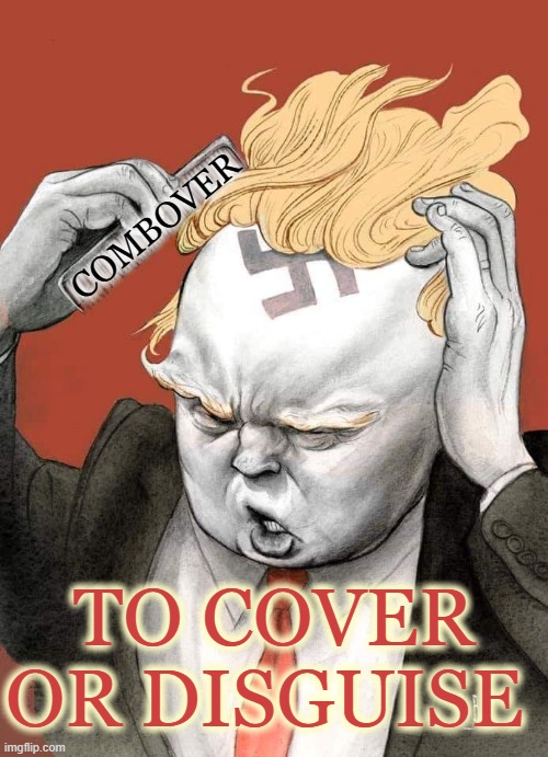 COMBOVER / COMB OVER | COMBOVER; TO COVER OR DISGUISE | image tagged in combover,comb over,cover,disguse,bald,hair | made w/ Imgflip meme maker