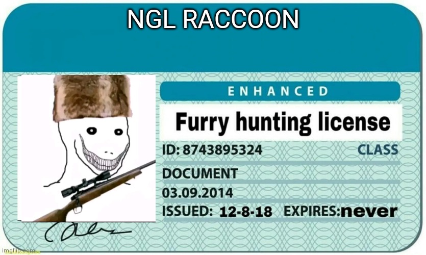 furry hunting license | NGL RACCOON | image tagged in furry hunting license | made w/ Imgflip meme maker