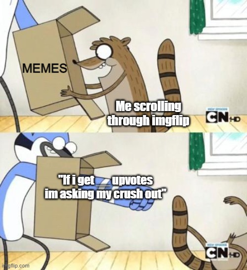 Mordecai Punches Rigby Through a Box |  MEMES; Me scrolling through imgflip; "If i get __ upvotes im asking my crush out" | image tagged in mordecai punches rigby through a box,annoying,memes,funny,fun,gaming | made w/ Imgflip meme maker