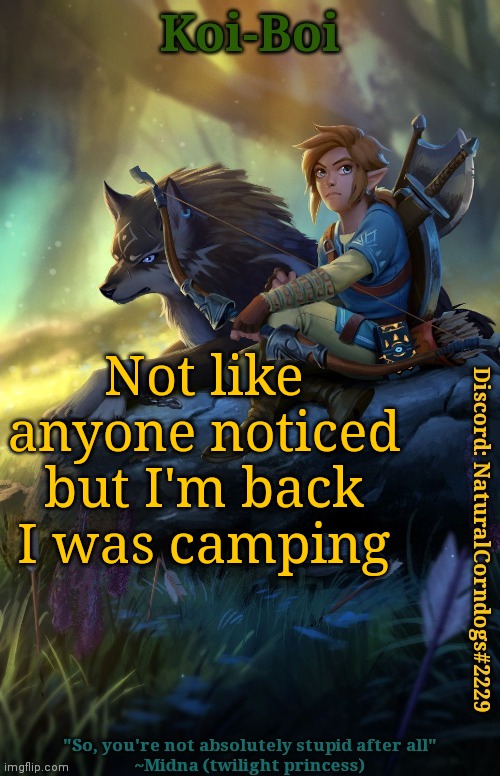 Not like anyone noticed but I'm back I was camping | image tagged in link template | made w/ Imgflip meme maker