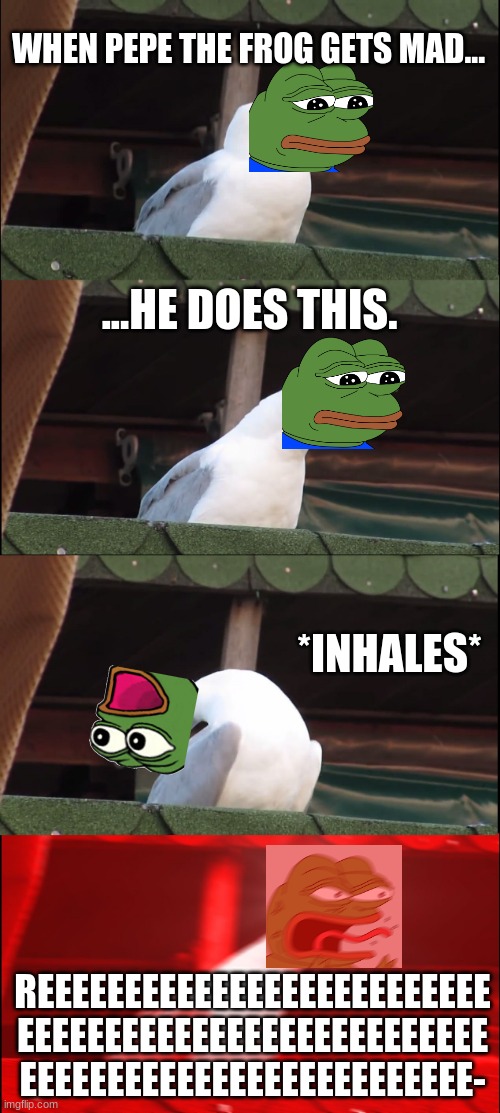 PEPE MAD | WHEN PEPE THE FROG GETS MAD... ...HE DOES THIS. *INHALES*; REEEEEEEEEEEEEEEEEEEEEEEEEE
EEEEEEEEEEEEEEEEEEEEEEEEEEE
EEEEEEEEEEEEEEEEEEEEEEEEEE- | image tagged in memes,inhaling seagull,pepe the frog | made w/ Imgflip meme maker