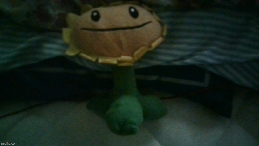 you may think you're cool but do you have a sunflower plush? | made w/ Imgflip meme maker
