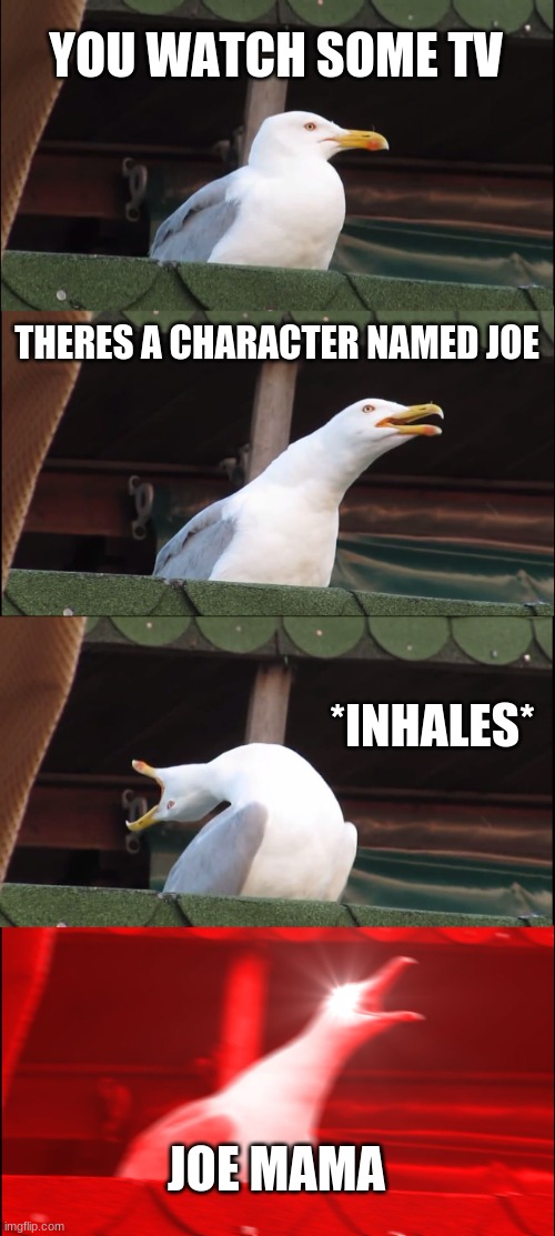 Inhaling Seagull | YOU WATCH SOME TV; THERES A CHARACTER NAMED JOE; *INHALES*; JOE MAMA | image tagged in memes,inhaling seagull | made w/ Imgflip meme maker