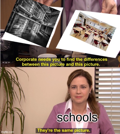 schools be like | schools | image tagged in memes,they're the same picture | made w/ Imgflip meme maker