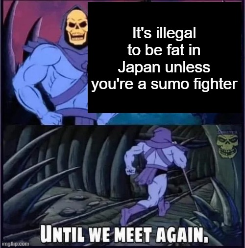 Until we meet again. | It's illegal to be fat in Japan unless you're a sumo fighter | image tagged in until we meet again | made w/ Imgflip meme maker