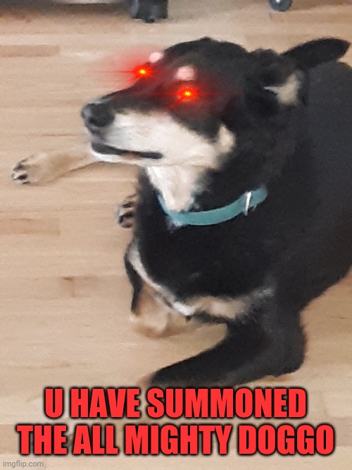 Yes | U HAVE SUMMONED THE ALL MIGHTY DOGGO | image tagged in yes | made w/ Imgflip meme maker