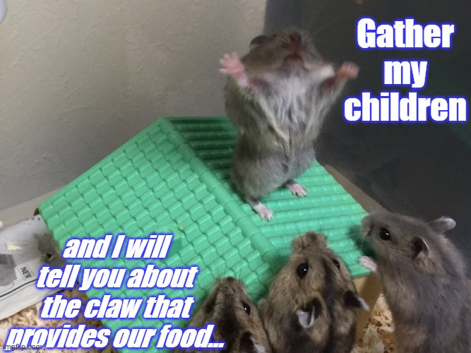 Hamster King of the Mountain | Gather my children; and I will tell you about the claw that provides our food... | image tagged in hamster king of the mountain | made w/ Imgflip meme maker